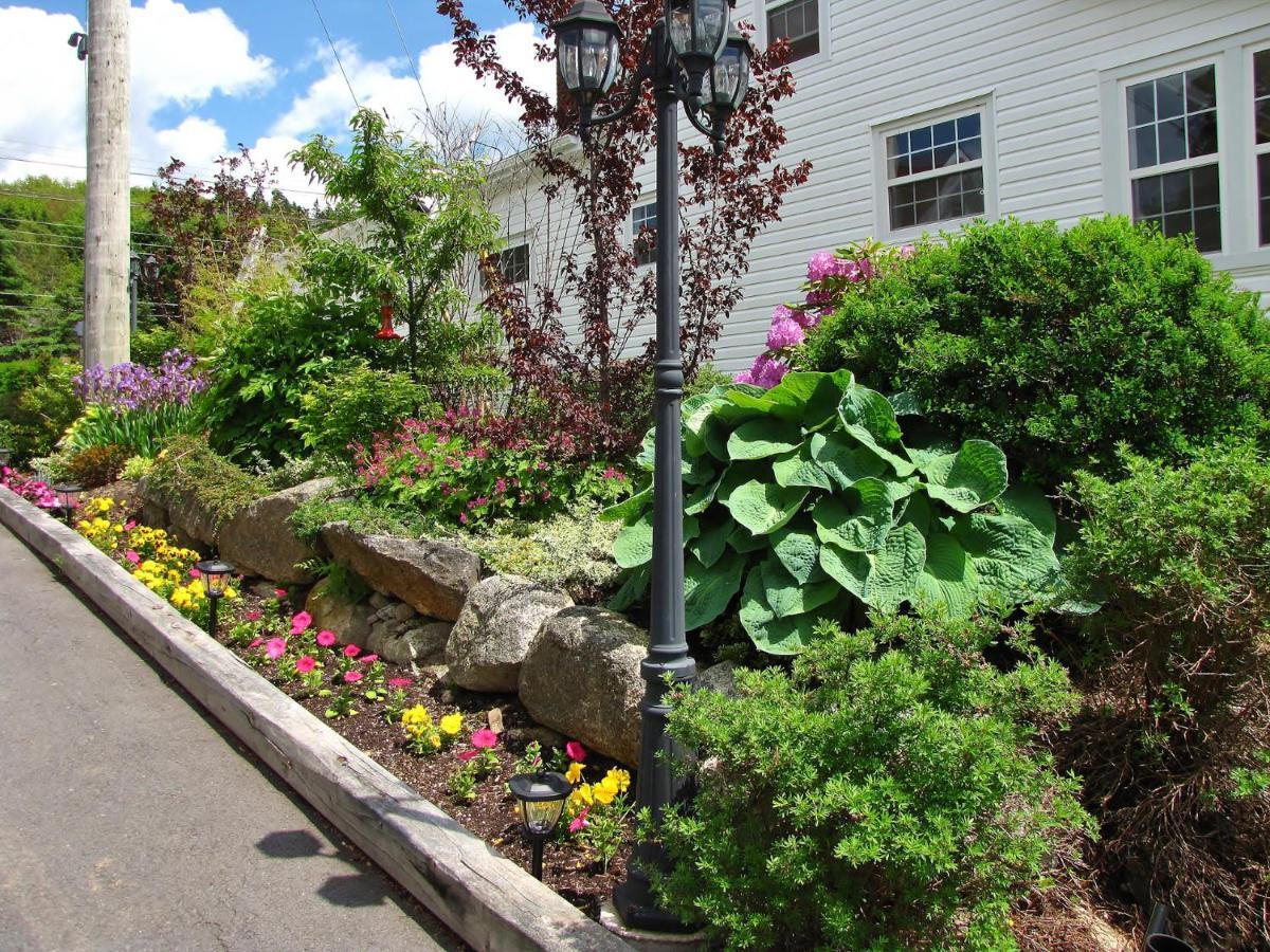 Larinda'S Landing Oceanfront Cottages Halifax Bagian luar foto